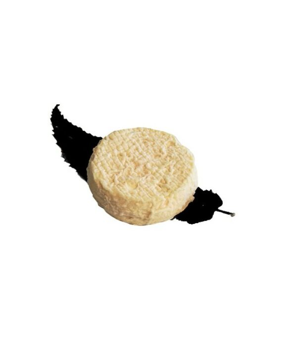 Mothais sur Feuille