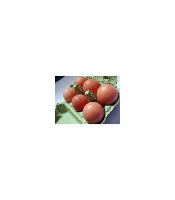 Oeufs