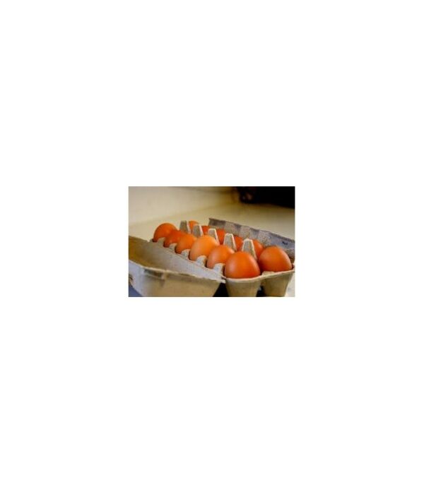 Oeufs